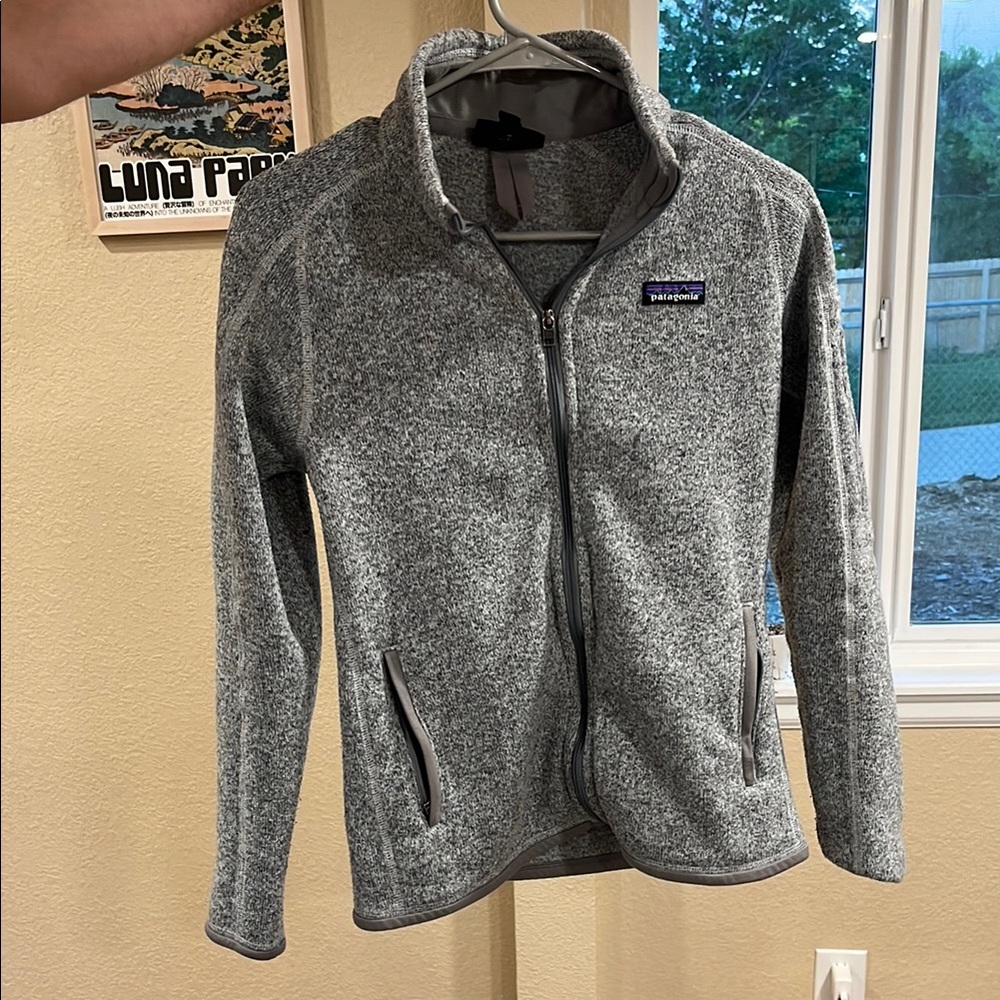 Patagonia Women's Heather Gray Teddy Jacket